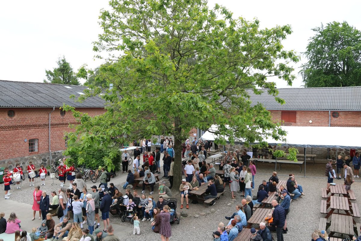 Skolens gårdsplads med græs, træ, bordtennisbord og bænke.